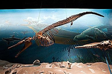 传索尼3月举办PS发布会 展示多个《最后生还者》游戏